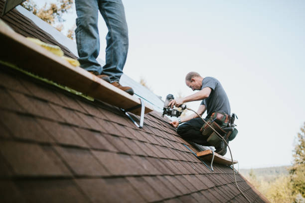 Best Storm Damage Roof Repair  in Monmouth, IL